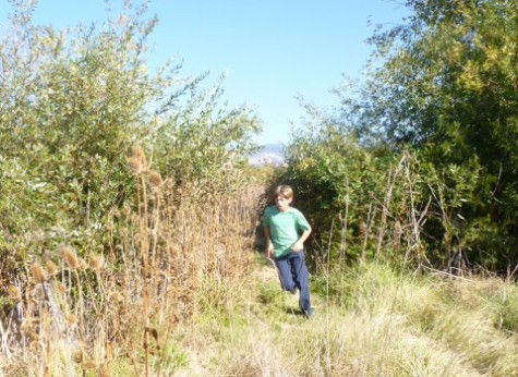 Senior Projects: Isobel Whitcomb Willow Wind Running Club