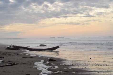Top 10 Oregon Road Trips