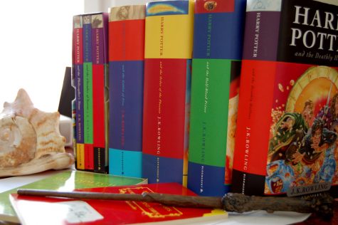 Fantastic Beasts and Where to Find Them: Wizarding Reignited