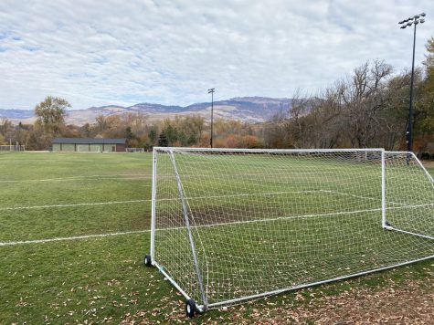 Empty Fields in the Time of Covid